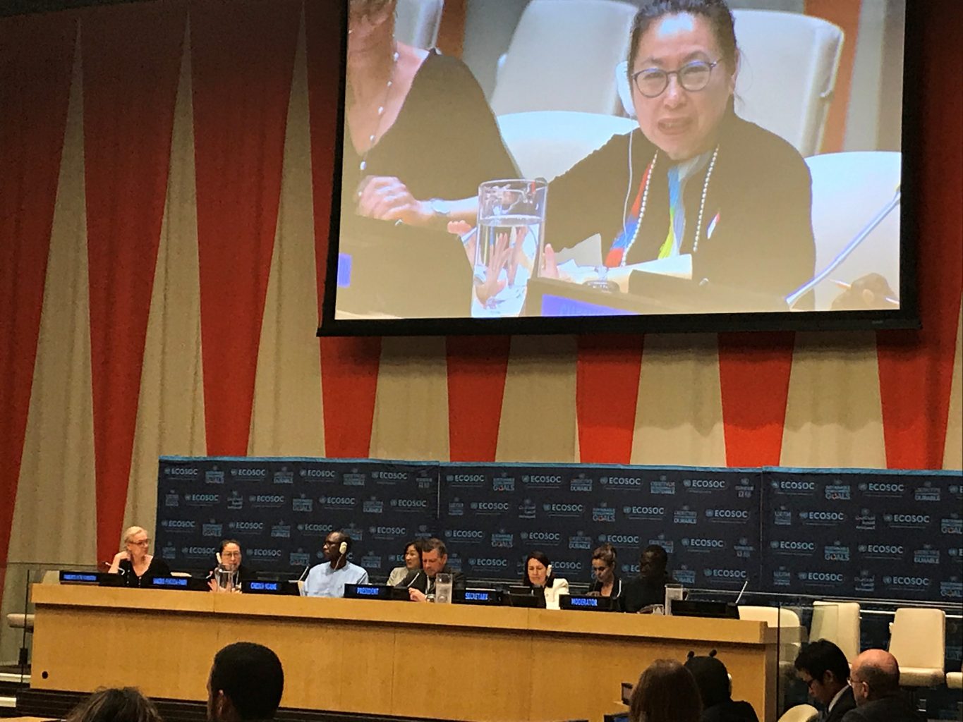 Professor Sakiko Fukuda-Parr, Vice-President of the Committee for Development Policy (CDP), participating as a panelist in the ECOSOC Integration Segment on July 8